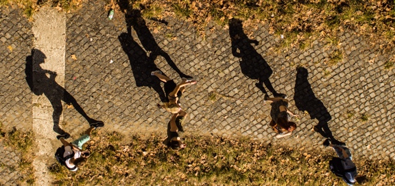 Several people walking down a stone path, long shadows indicate it is later in the day.